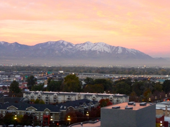 Salt Lake City Hotel View